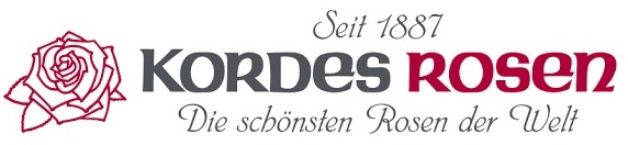 Kordes Rosen